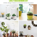 Grow Lights for Indoor Plants, Full Spectrum Halo Growing lamp with Detachable Base, Height Adjustable, 3 Colors, 10 Dimming, Automatic Timer, Plant Light for Succulents Small Plants by GreenHaven Gardens