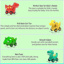 Toddler Car Toy for 2 3 4 5 Years Old, Dinosaur Transport Carrier Truck with 4 Pack Small Pull Back Dino Car, Friction Power Vehicle Christmas Birthday Gift for 18M+ Kids Boys Girls by TinyTreasures Baby Boutique