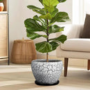Ceramic Plant Pot 8 Inch - Ceramic Planter for Indoor Plants, Round Flower Pot with Drainage Hole and Saucer, Glaze White and Black by GreenHaven Gardens