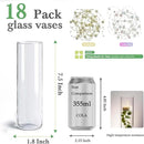 18pcs Glass Vase Cylinder Vases for Centerpieces Small Flower Glass Clear Vases Home Decor Centerpiece Table Flower Vase Decorations for Office Beautification＆Holiday 7.5 Inch Tall by GreenHaven Gardens