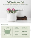 Self Watering Plant Pot, 6 Inch African Violet Pots Maintenance, Ceramic Self-Watering Planter for Indoor Plants - Ideal Flower Pot for Thriving Indoor Gardens by GreenHaven Gardens