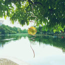 FONMY Gazing Ball Spiral Tail -Decorative Wind Spinner Sun Catcher Rainbow Maker 11 inch Tail and 2 inch Golden Crystal Orb. Indoor Outdoor Garden Decoration -13 inch Height by GreenHaven Gardens