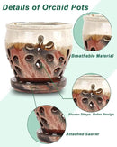 vensovo 5 Inch Ceramic Orchid Pots with Holes and Saucers - 1 Pcs Small Succulent Pot for Repotting, Garden Flowerpots for Plants Indoor and Outdoor Promotes Air Circulation, Brown Mixed by GreenHaven Gardens