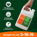Ultimate 3-18-18 Lawn Food Liquid Fertilizer- Easy to Use Concentrated Spray- Any Grass Type- Summer & Fall - Simple Lawn Solutions- Turf Hardiness & Root Vigor- Phosphorus and Potassium (1 Gallon) by GreenHaven Gardens