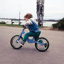 14" Kids Balance Bike for 3,4,5,6 Year Old Boys and Girls, Air Tires with Magnesium Alloy Frame, Lightweight No Pedal Toddler Training Bicycle by TinyTreasures Baby Boutique