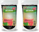 Anthurium Potting Mix - Crafted for Superior Performance and Colorful Blooms - 10 QUARTS by GreenHaven Gardens