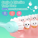SEAGO Kids Electric Toothbrushes Rechargeable, Toddler Electric Toothbrush with Magnetic Charging, LED Observing Light, 8 Toothbrush Heads for Ages 2-4 -6 Boys Girls (Blue) by TinyTreasures Baby Boutique
