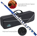 EASTROCK Closed Hole Flutes C 16 Key for Beginner, Kids, Student -Silver Nickel Flute with Case Stand and Cleaning kit (Blue) by TinyTreasures Baby Boutique