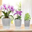 Cdd's Path 6-Pack Self Watering Pots Set with Holes for Indoor/Outdoor Plants,2 Each of 5, 6 and 7 Inch Planter Pot with Watering Hole/Reservior and Air Pipes,Clear by GreenHaven Gardens
