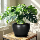 Ceramic Pot for Plants - 10 Inch Plant Pot Indoor with Drainage Hole and Saucer Large Planter Decorative Planter Modern Outdoor Flower Pot for House Balcony Black by GreenHaven Gardens