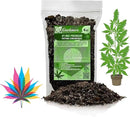 Premium Happy Plant Potting Soil Mix - Optimal Nutrient-Rich Blend for Thriving and HIGH-Yield Herbal Plants - 4 Quart by GreenHaven Gardens