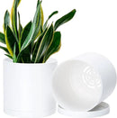 D'vine Dev 2 Pack 6.5 Inch Modern Plastic Plant Pots, Small Garden Planters for Plant with Drainage Holes and Saucers, White Color, 74-Z-L-1 by GreenHaven Gardens