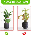 4PCS Plant Watering Globes, Large Terracotta Automatic Watering Stake Devices with Wooden Stopper for Pots, Planters, Indoor, Outdoor by GreenHaven Gardens