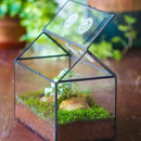 NCYP Glass Terrarium with Lid and Air Holes for Snails, Succulents Plants, Small Cactus - 10.2" x 5.9" x 8.2" House Shape Geometric Clear Box, Indoor Tabletop Decor Black (Terrarium Only) by CozyNest Decor