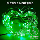 JMEXSUSS 2 Pack Green Solar Fairy Lights, Each 33ft 100 LED Green Solar Lights Outdoor, Waterproof St Patricks Day String Lights for Outside Patio Garden Party Tree Decorations by GreenHaven Gardens