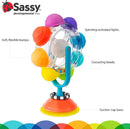 Sassy Rainbow Wheel High Tray Toy, Age 6+ Months by TinyTreasures Baby Boutique