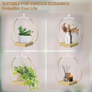 Hanging Planters for Indoor Plants - Plant Hanger Outdoor, Metal Plant Hanger Mid Century Boho Macrame, Hanging Wall Ceiling Window, Gift for Mom, Plant Lovers, Housewarming by GreenHaven Gardens