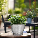 Ceramic Planter - 6 Inch Plant Pot Indoor with Drainage Hole and Saucer Outdoor Pot for Plants Round Decorative Planter Modern Mid-Century Flower Pot for Office Decor Silver by GreenHaven Gardens