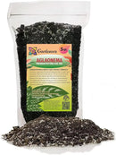 Premium Aglaonema Plant Soil Mix by Gardenera - Stimulate Growth and Elevate Leaf Color with Nourishing Formula - 5 Quart by GreenHaven Gardens