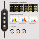 GLOWRIUM Grow Light with Stand,2-Head LED Plant Light for Indoor Plants, Full Spectrum Grow Lamp, 3/9/12H Timer, 6 Dimmable Levels, 3 Lighting Mode, Adjustable Height by GreenHaven Gardens