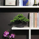 Artificial Plants Greenery Bonsai, Room Decor Fake Bonsai Tree for Home Decor Indoor Bookshelf Office Desk Bathroom Farmhouse Decor, Tall 9.5" by GreenHaven Gardens