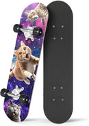 24 inch Rude Boyz Mini Cruiser Skateboard - Aluminium Trucks - Kids Skateboard Ages 5-8 Beginner - Skateboards for Kids by TinyTreasures Baby Boutique
