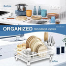 GAXmi Dish Drying Rack Over The Sink Dish Drainer with Drainboard Utensil Holder, 1-Tier White by CozyNest Decor