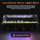 60-Cell Self-Watering Seed Starter Tray with Grow Light, Seed Starter Kit with 4.07” Humidity Dome, Indoor Seedling Starter Tray, Seed Starting Tray for Plant Germination, Seeds Growing by GreenHaven Gardens