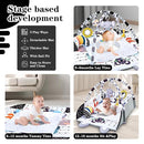 Baby Gym Play Mat, 8-in-1 Tummy Time Mat & Activity Gym, Washable Ball Pit, Infant Play Mat with Detachable Toys for Sensory Exploration and Motor Skill Development by TinyTreasures Baby Boutique