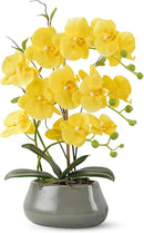 Orchid Artificial Flowers with Gray Vase Large Silk Faux Phalaenopsis Flowers for Dining Room Table Floral Centerpieces Indoor Decoration,Yellow by CozyNest Decor