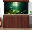 Underwater Sunray Aquarium Background Deep Ocean Rock Cave Fish Tank Background Under The Sea Coral Reef Aquarium Backgrounds Ocean Floor Tropical Fish Terrarium Backgrounds 72x24in by GreenHaven Gardens