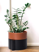 8 Inch Self-Watering Planter Pot with Terracotta Insert, Deep Water Reservoir, and Ceramic-Alike BPA-Free Plastic Planter Pot for Plant, Modern Planter for Houseplants, Black/Terracotta, 53-B-T-5 by CozyNest Decor