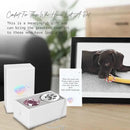 Dog Memorial Gifts, Unique Loss of Pet Sympathy Idea, Pink Crystal Ball Rainbow Suncatcher with Paw Print for Cat or Dog Remembrance and Bereavement by GreenHaven Gardens