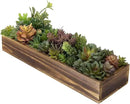 MyGift Artificial Succulent Centerpiece, 15.75 Inch Faux Succulents Arrangement Plants in Rustic Burnt Wood Rectangular Planter Box by CozyNest Decor