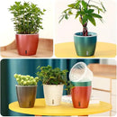 Self Watering Pots for Indoor Plants, 12-Pack 5'' Self Watering Planter with Drainage Holes, Small African Violet Pots with Water Indicator, Clear Wick Pot, White/Black/Blue/Rose Gold by CozyNest Decor