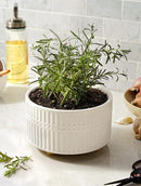LE TAUCI Succulent Pots, 6.5+8 Inch Ceramic Indoor Plant Pot with Drainage Hole, Modern Round Decorative Flower Pot, Set of 2, Matte White by GreenHaven Gardens