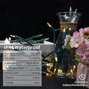 MULTI-SPARKING White LED Christmas Lights - 35 Count Warm White Christmas String Lights for Small Tree, Crafts, Holiday, Indoor/Outdoor Decorations, 11 Feet Green Wire, UL Certified, Connectable by GreenHaven Gardens
