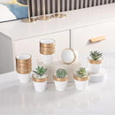 Yishang 72 pcs Small Mini White&Gold Clay Pots, 2.5'' Terracotta Pot Clay Ceramic Pottery Planter,Cactus Flower Terra Cotta Pots,Succulents Nursery Pots,with Drainage Hole,for Crafts,Wedding Favor by GreenHaven Gardens
