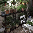Zhongma 3 Tier Plant Stand Space-Saving Heavy Duty Plant Holder for Balcony, Home, Garden ,Metal Sturdy Plant Stand for Indoor and Outdoor by GreenHaven Gardens