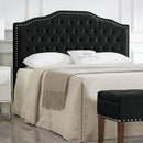 24KF Upholstered Button Tufted Queen Size Full Size Headboard with Nailhead Trim, Soft Velvet Fabric Headboard Queen/Full Size Headboad-Black by CozyNest Decor