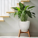 G EPGardening 10 Inch Ceramic Planter Pot with Drainage Hole and Saucer Large Plant Pot for Indoor Plants Outdoor Round Flower Pot for Home Garden Office White by CozyNest Decor