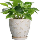 Ceramic Plant Pot 6.9 Inch - Ceramic Planter with Drainage Hole and Saucer Round Planter Flower Pot for Indoor Plants Outdoor Home Garden Office Decor White by CozyNest Decor