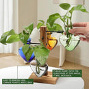 Plants Propagation Stations Plant Terrarium Kit Glass Planters for Indoor Plants House Plant Accessories Gift for Women - 4 Love Bulb Vase by GreenHaven Gardens