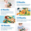 hahaland Baby Books 0-6 Months, Infant Tummy Time Toy High Contrast Sensory Toys 6 to 12 Months Touch Feel Book Babies Travel Toy Gifts for Boy Girl 0-3 Month Baby Shower Birthday Gifts (Single Book) by TinyTreasures Baby Boutique