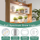 LORDEM Grow Light for Indoor Plants, 48 LEDs Ceiling Full Spectrum Plant Light, 5V Corded Growing Lamp with 4/8/12H Auto Switch, 4 Dimmable Brightness Levels, Single-Head, 3 Pack by GreenHaven Gardens