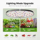 Ahopegarden Indoor Garden Hydroponics Growing System: 12 Pods Plant Germination Kit Garden Kit Growth Lamp Countertop with LED Grow Light Hydrophonic Planter Grower Harvest Vegetable Lettuce by GreenHaven Gardens