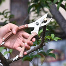 BUGUI Wood Handle Pruning Shears, SK-5 Steel Blade, 1-inch Cutting Capacity, Sharp, Well Designed Garden Shears, 8" by GreenHaven Gardens