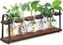 THYGIFTREE Plant Propagation Stations with Wooden Stand, Desktop Retro Plant Terrarium Bulb Vase for Indoor Hydroponic Flowers, Tabletop Glass Planter Housewarming Gifts for Plant Lovers by GreenHaven Gardens