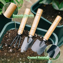 Small Garden Tool Set, 6 Pieces Iron Gardening Kit Including Hand Shovel, Transplant Shovel and Hand Rake with Wood Non-Slip Handle Perfect for Plant Lovers by GreenHaven Gardens