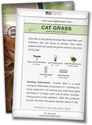 Sow Right Seeds - Cat Grass Seeds for Planting - 100% Sweet Oats - Non-GMO Heirloom Healthy Greens for Cats and Dogs - Easy to Grow - Safe & Natural Indoor Use - Ideal for Pet Lovers by GreenHaven Gardens